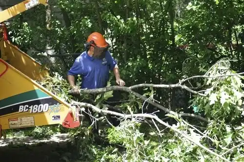 tree services Melvindale